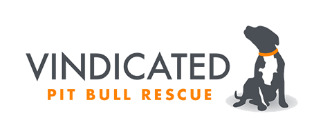 vindicated logo